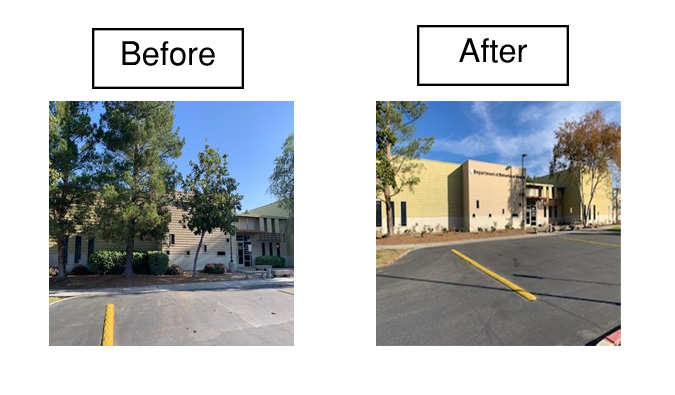 Before and After of the landscaping security upgrades.